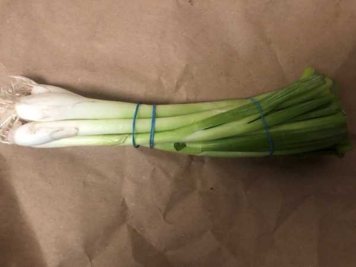 Picture of (Pre-Order <12PM) RAITH SPRING ONION BUNCH