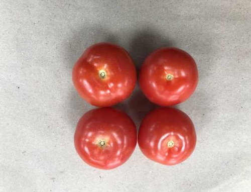 Picture of (Pre-Order <12PM) RAITH TOMATOES 4 PACK
