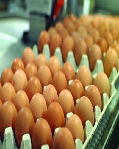 Picture of FREE RANGE MEDIUM EGGS KEYES TRAYS FARMLAY 5 DOZEN