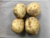 Picture of (Pre-Order <12PM) RAITH BAKING POTATOES 4 PACK