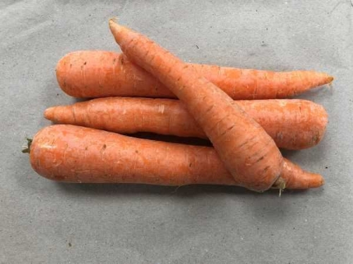 Picture of (Pre-Order <12PM) RAITH CARROTS 500G