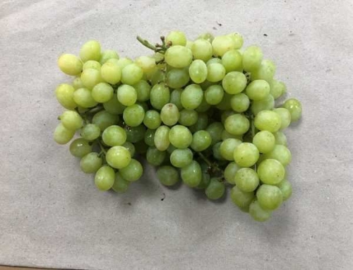 Picture of (Pre-Order <12PM) RAITH GREEN GRAPES 500G