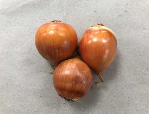 Picture of (Pre-Order <12PM) RAITH ONIONS 500G PACK
