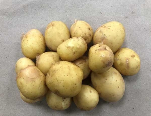 Picture of (Pre-Order <12PM) RAITH POTATOES 10X2KG PACKS