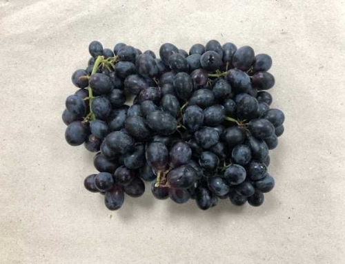 Picture of (Pre-Order <12PM) RAITH RED GRAPES 500G