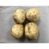 Picture of (Pre-Order <12PM) RAITH BAKING POTATOES 4 PACK