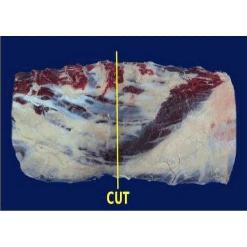 Picture of AUSTRALIA RIBEYE (CUBEROLL 7 RIB CUT) 4KG NOM